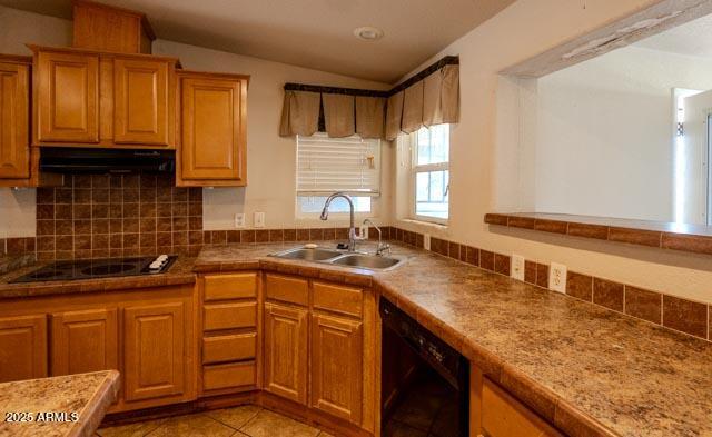 13401 East Walts Way Vail, AZ 85641 - Photo 13 of 41 DSC04592