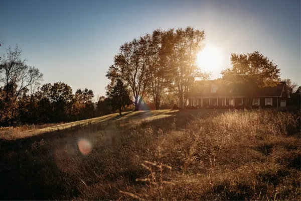 a view of a lake from a yard