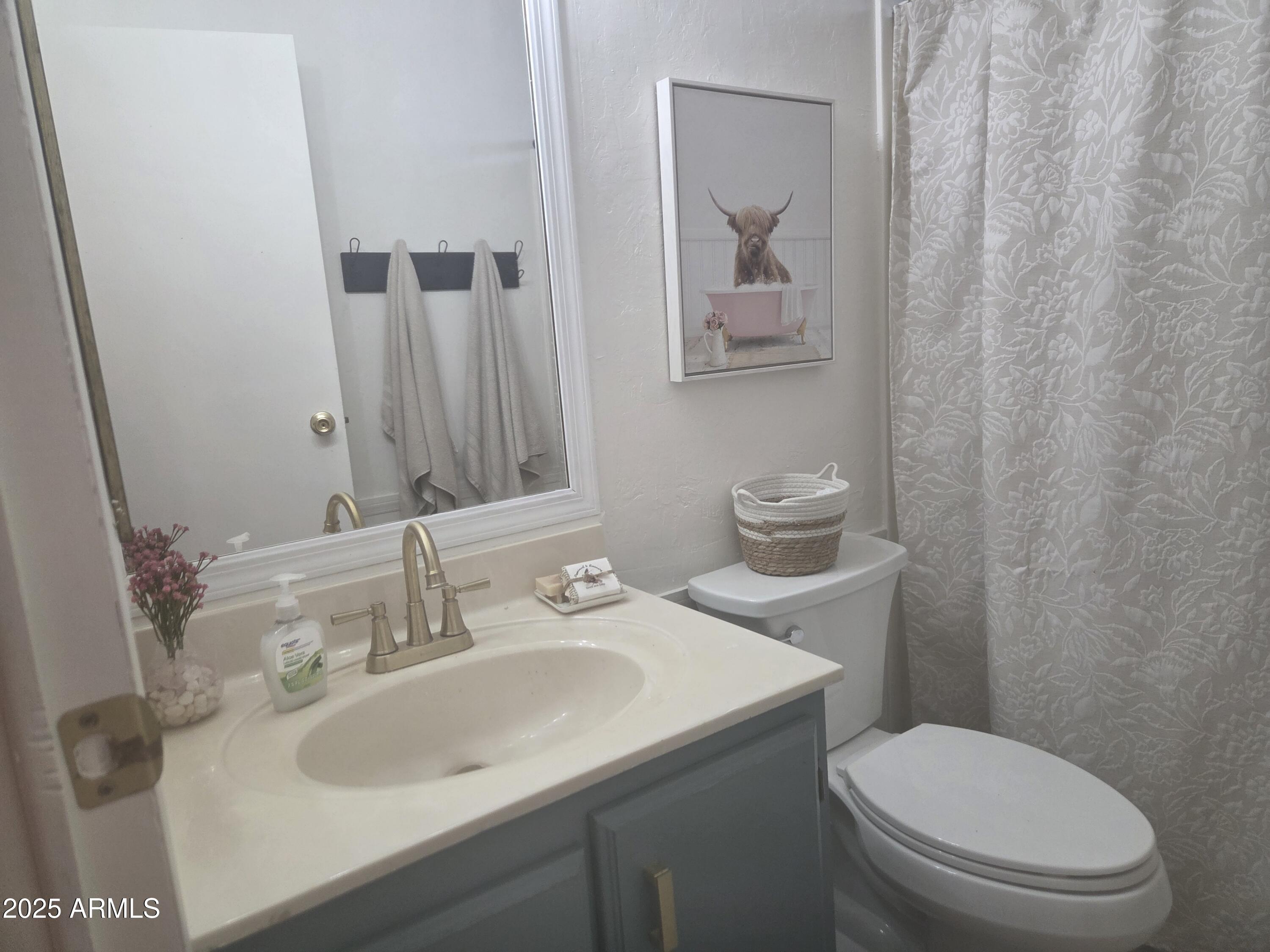 115 South Young Road Payson, AZ 85541 - Photo 13 of 34 a bathroom with a toilet sink and mirror