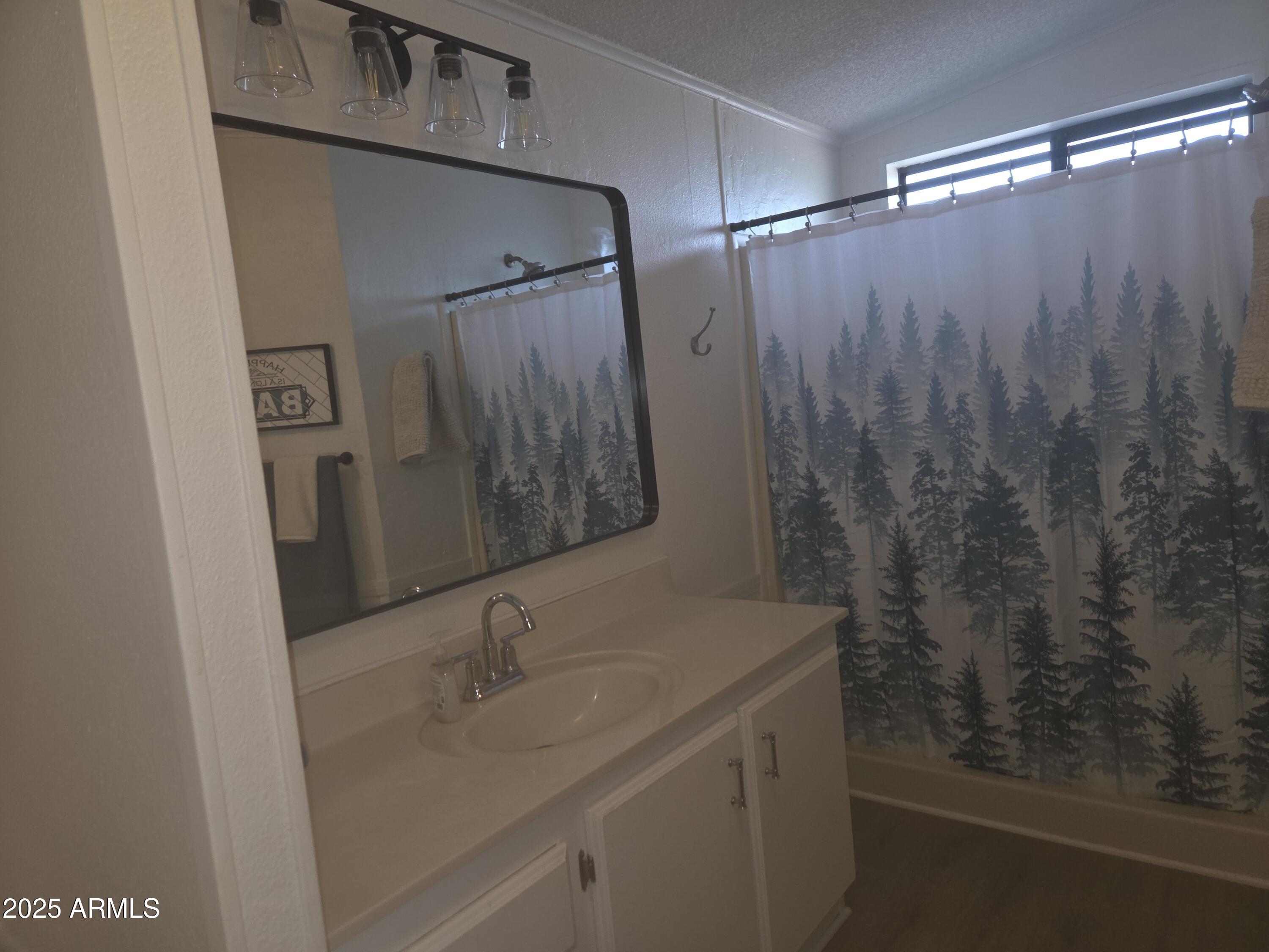 115 South Young Road Payson, AZ 85541 - Photo 18 of 34 a bathroom with a shower and a sink
