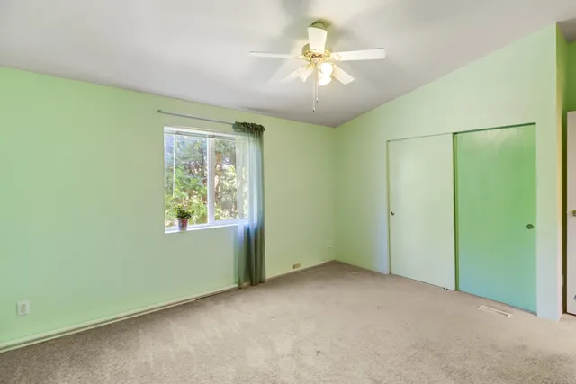 a view of a yard with plants and trees