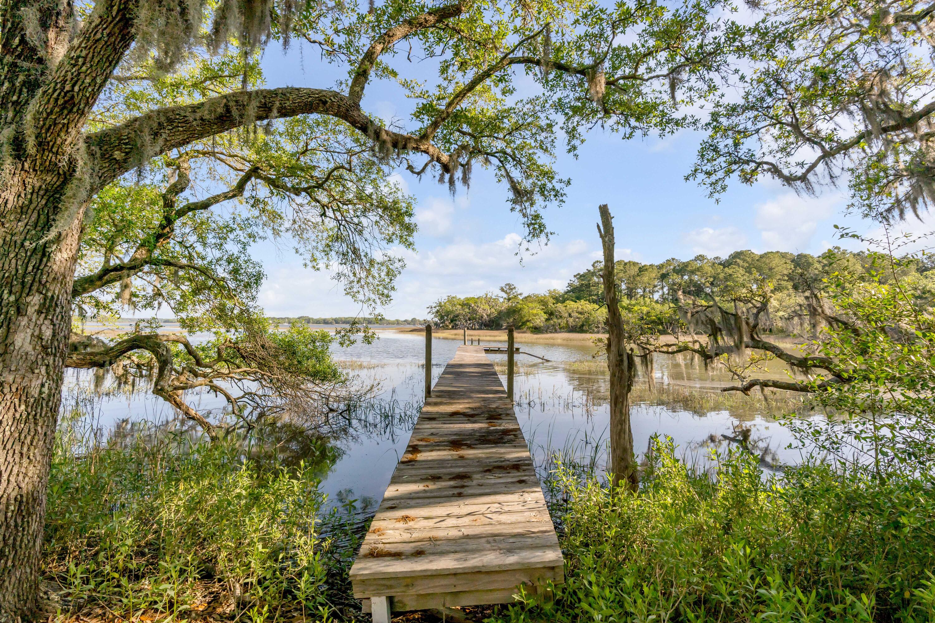 1310 Martins Point Road Wadmalaw Island, SC 29487 - Photo 43 of 83 DSC04169