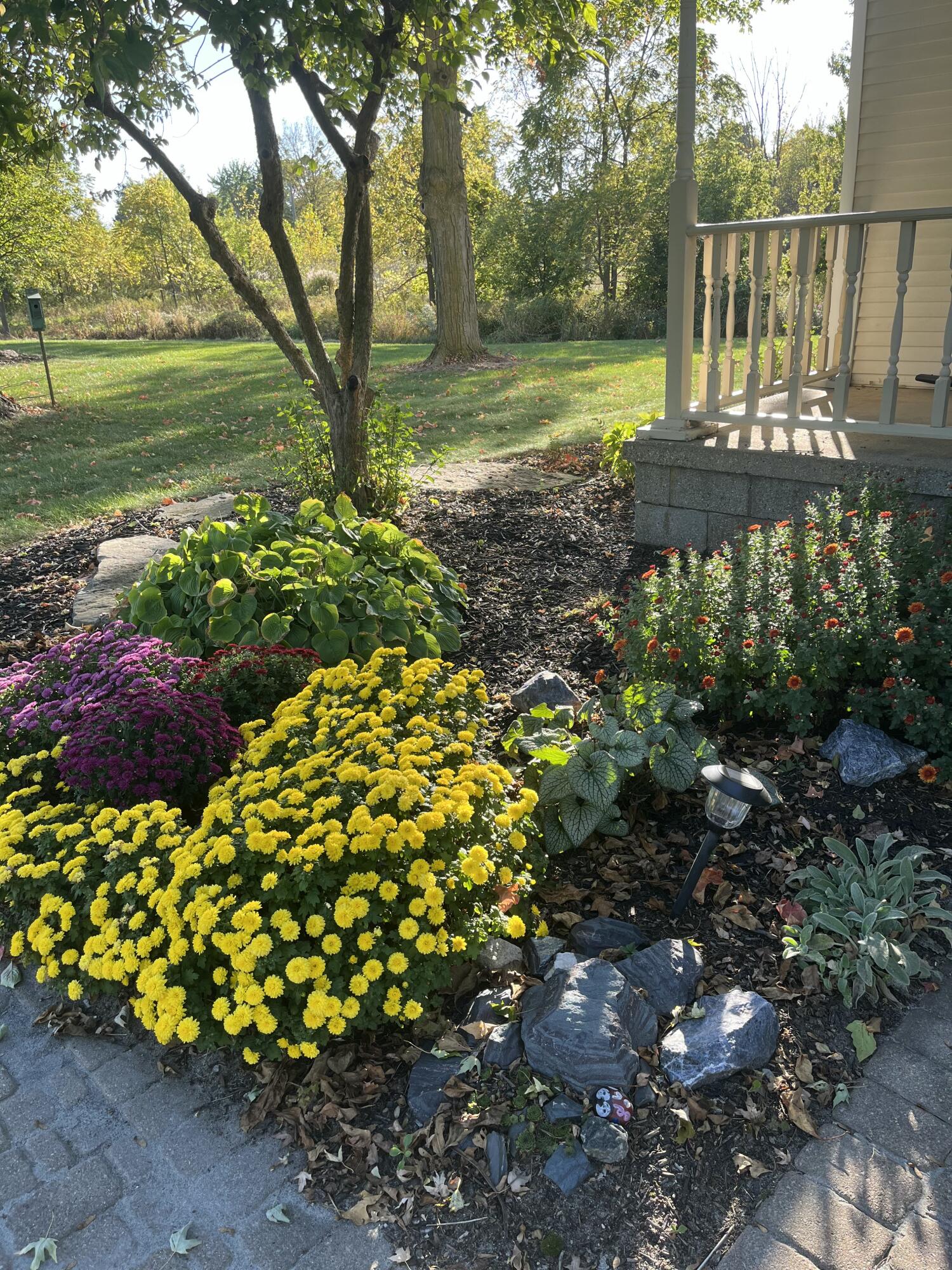 1991 Riley Street Hudsonville, MI 49426 - Photo 49 of 55 IMG_2611