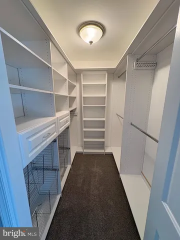 a view of walk in closet with empty racks