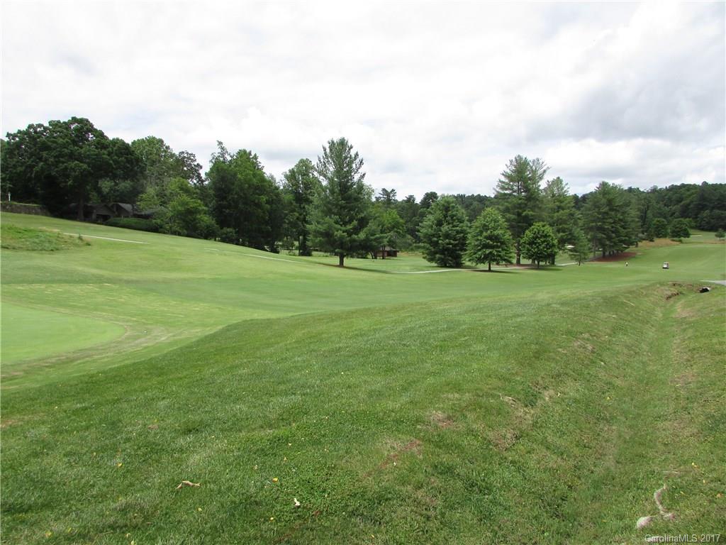 1807 Country Club Road, Unit 7 Hendersonville, NC 28739 - Photo 18 of 24 Gallery Image 18