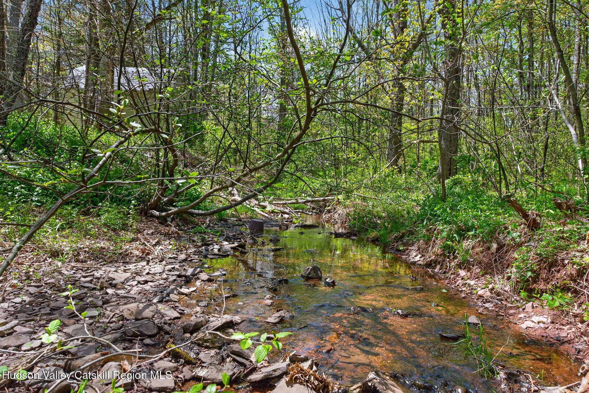 689 Old Road Windham, NY 12496 - Photo 3 of 42 a backyard of a house