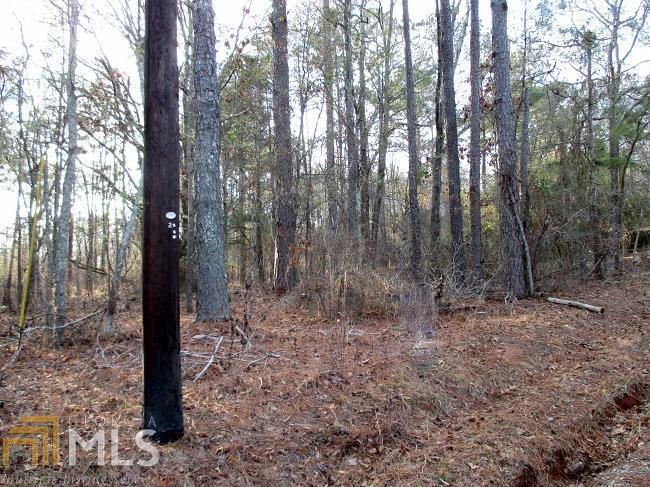 0 Verner Lane, Unit TRACT2 Rutledge, GA 30663 - Photo 1 of 1 a view of forest