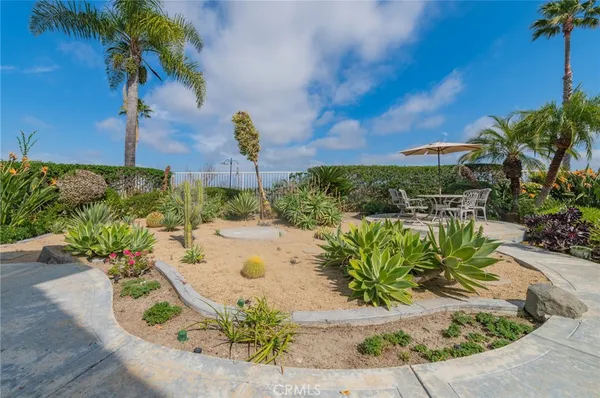 a view of a backyard with plants and a garden