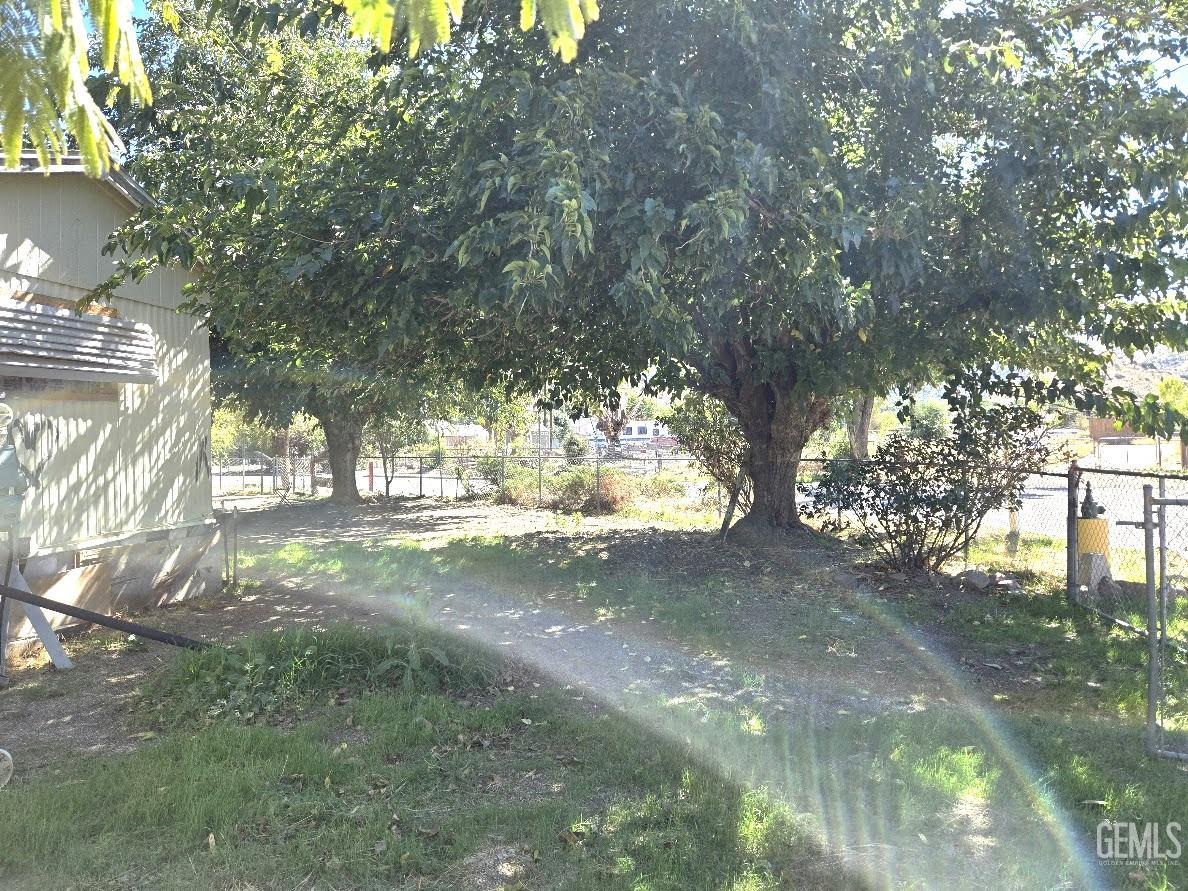 Undisclosed Address Lake Isabella, CA 93240 - Photo 13 of 16 a view of yard with trees