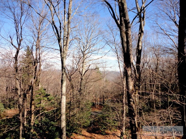 8399 Hemlock Ridge Road Blowing Rock, NC 28605 - Photo 11 of 25 Gallery Image 11