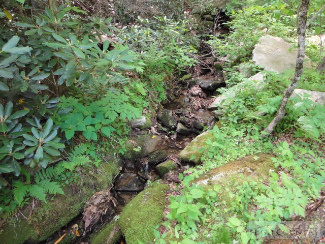 8399 Hemlock Ridge Road Blowing Rock, NC 28605 - Photo 2 of 25 Gallery Image 2