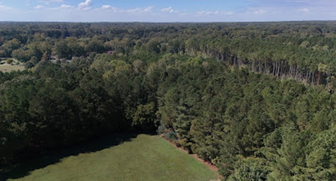 1 Walsh Road Millington, TN 38053 - Photo 3 of 31 Gallery Image 3