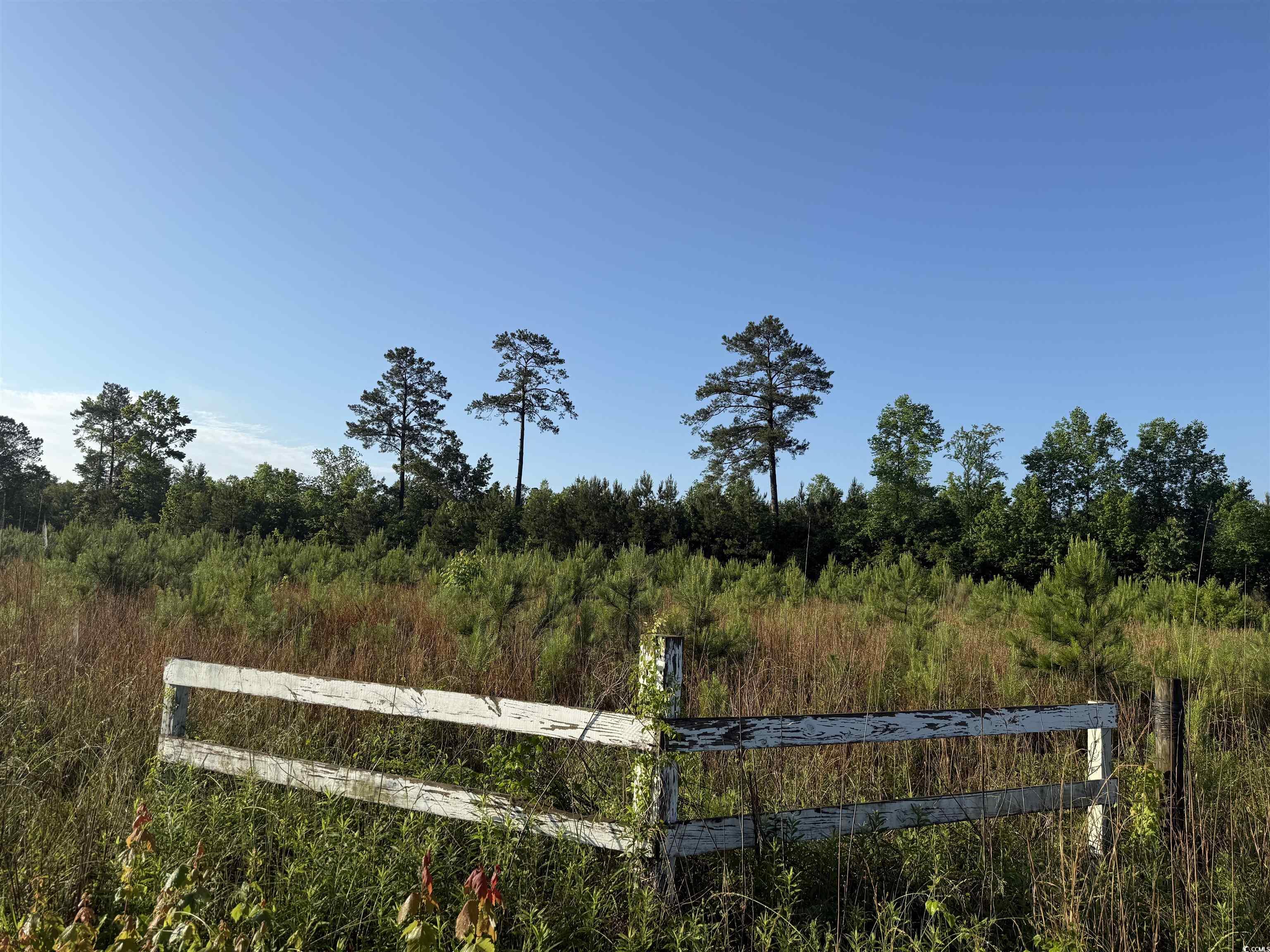 5-acres Lot 2 Old Pee Dee Road Hemingway, SC 29554 - Photo 1 of 9