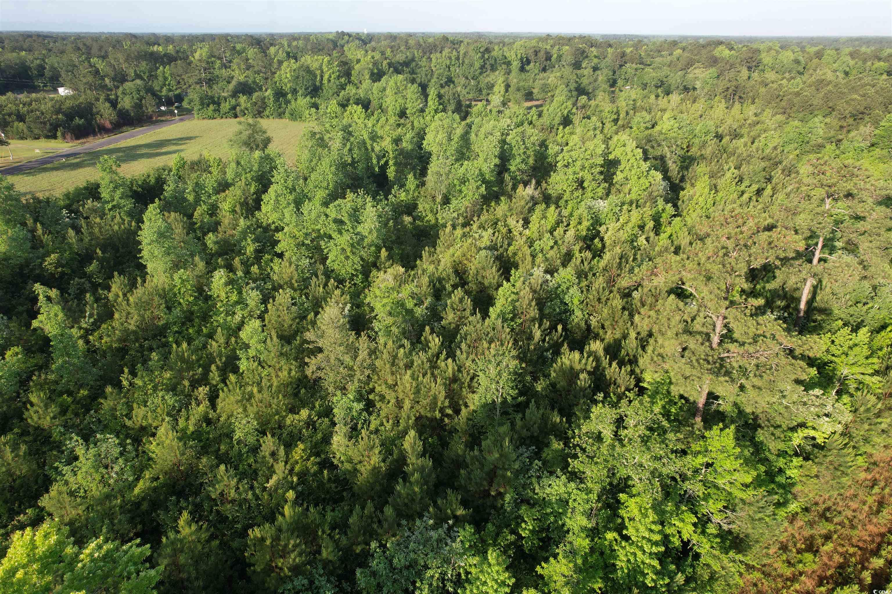 5-acres Lot 2 Old Pee Dee Road Hemingway, SC 29554 - Photo 4 of 9