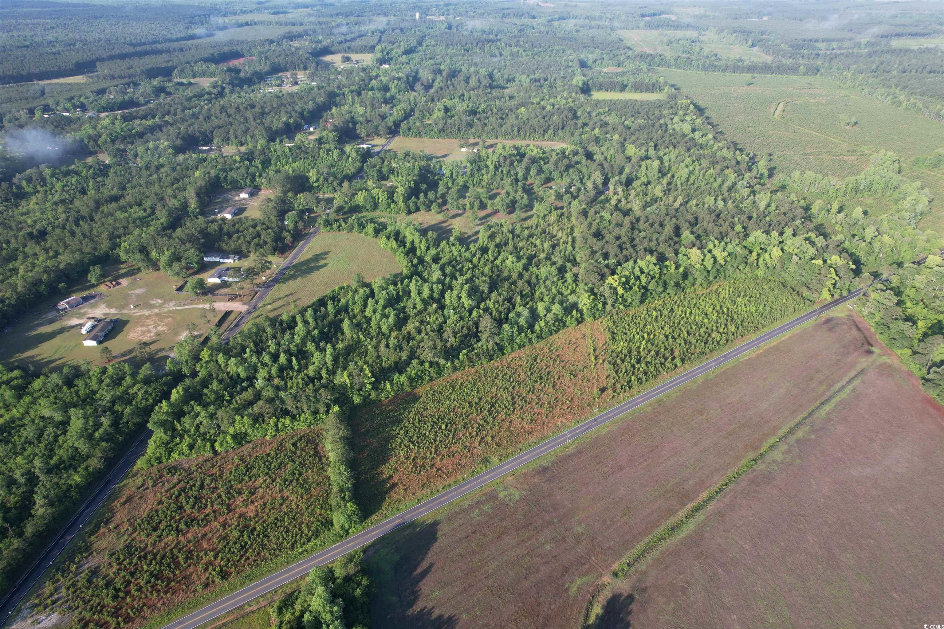 5-acres Lot 2 Old Pee Dee Road Hemingway, SC 29554 - Photo 5 of 9
