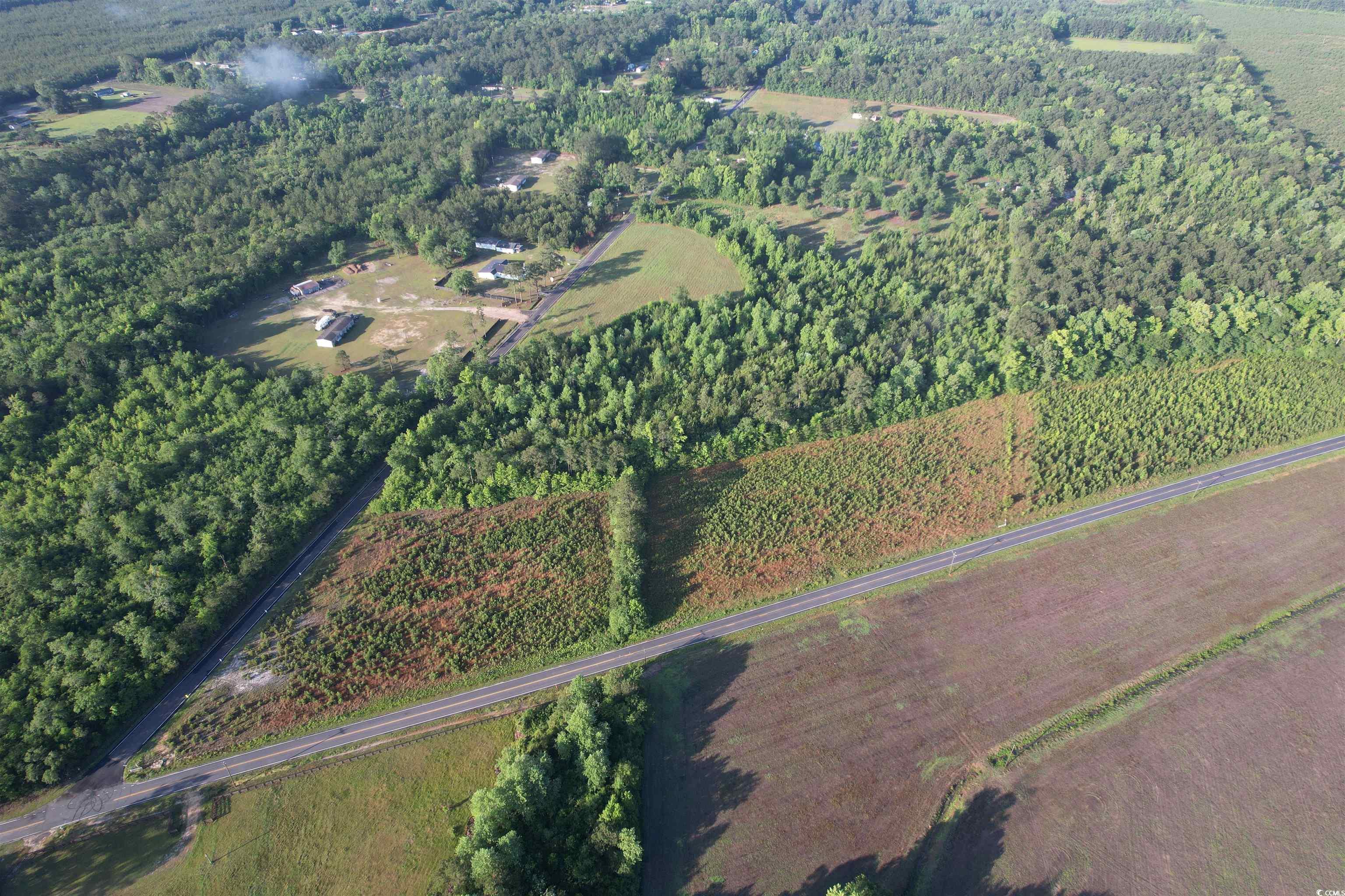 5-acres Lot 2 Old Pee Dee Road Hemingway, SC 29554 - Photo 6 of 9