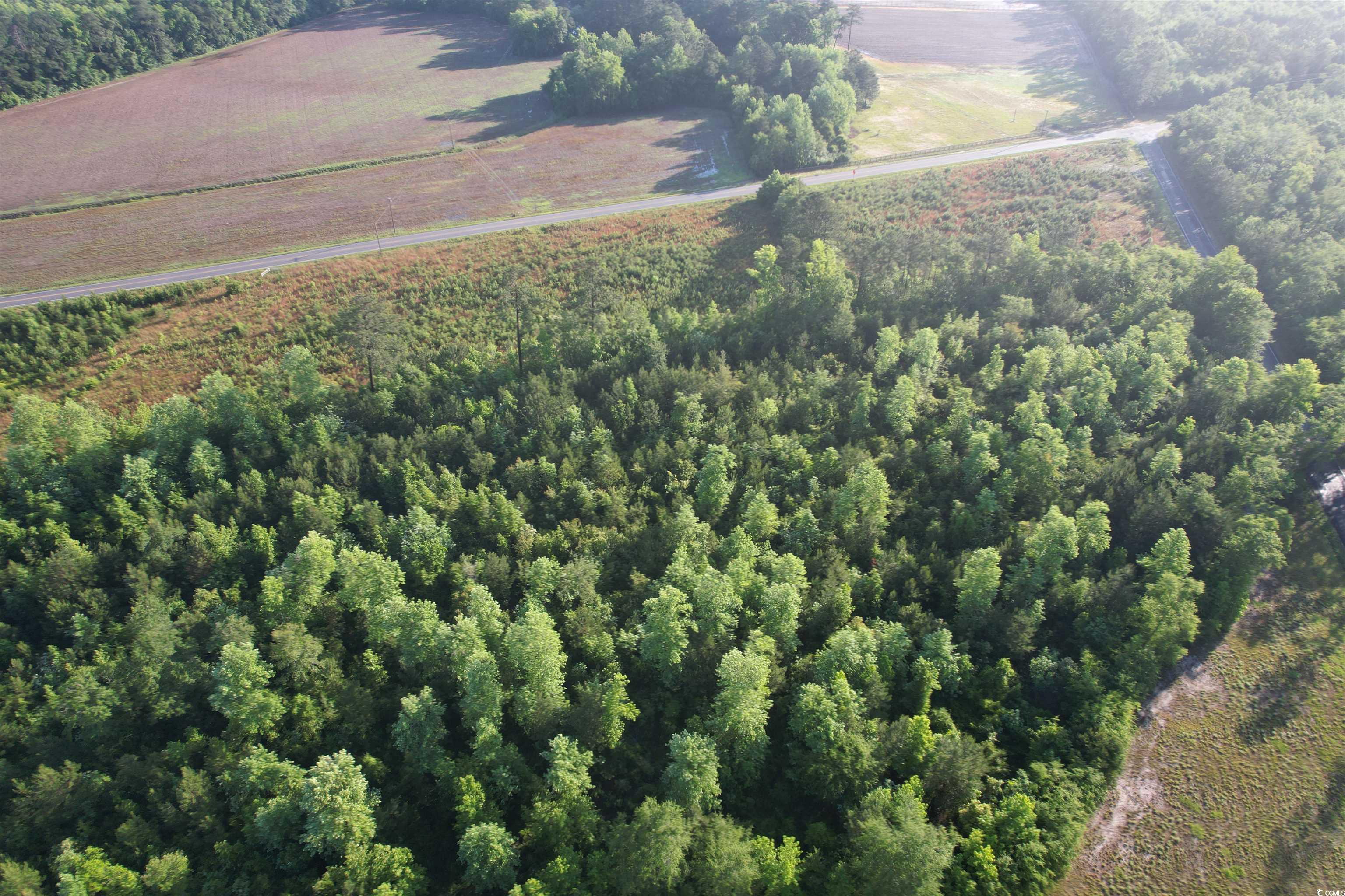 5-acres Lot 2 Old Pee Dee Road Hemingway, SC 29554 - Photo 7 of 9