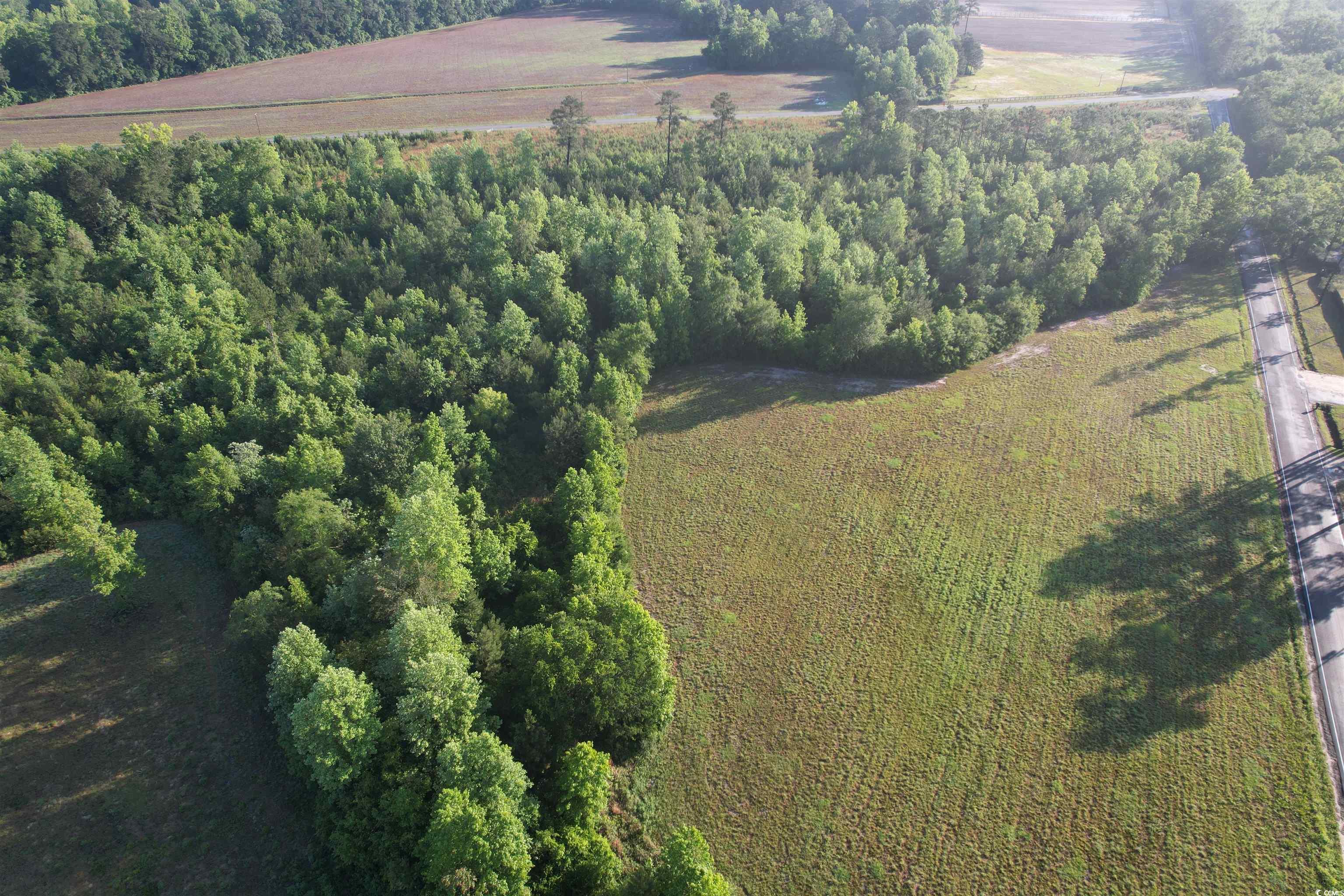 5-acres Lot 2 Old Pee Dee Road Hemingway, SC 29554 - Photo 8 of 9