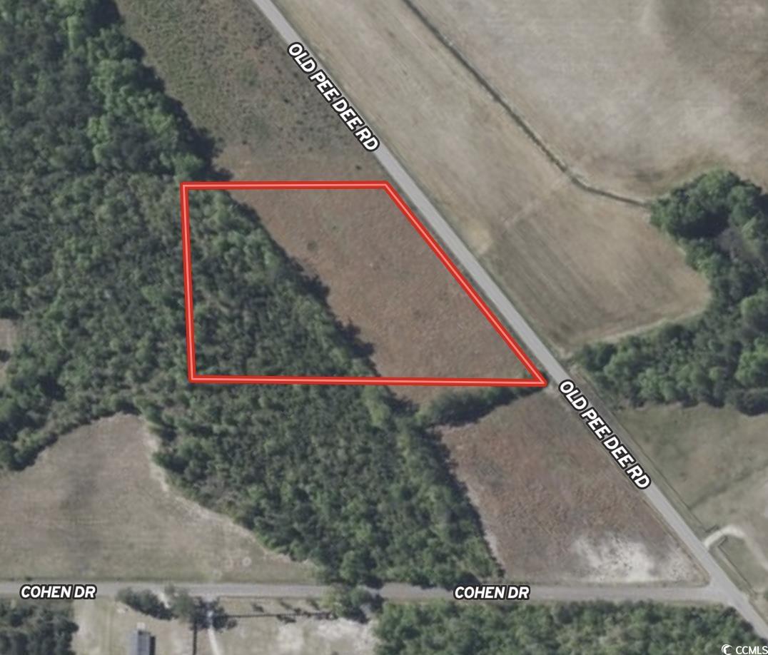 5-acres Lot 2 Old Pee Dee Road Hemingway, SC 29554 - Photo 9 of 9