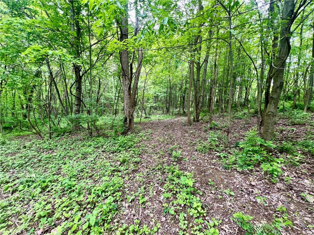 953 Perry Highway Prospect, PA 16052 - Photo 12 of 19 a big yard with lots of green space and deers