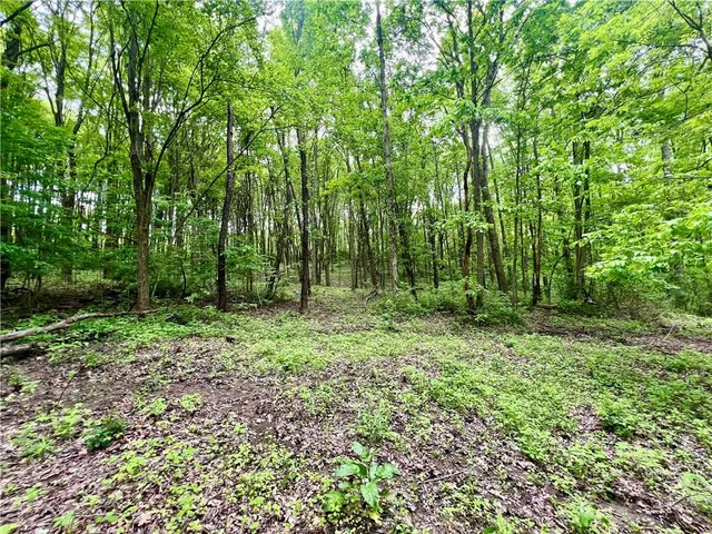 a view of outdoor space with deck and trees