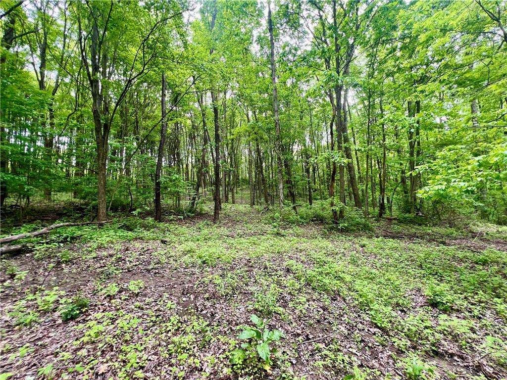 953 Perry Highway Prospect, PA 16052 - Photo 14 of 19 a view of outdoor space and green space