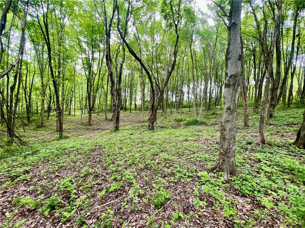 953 Perry Highway Prospect, PA 16052 - Photo 15 of 19 a view of outdoor space with deck and trees