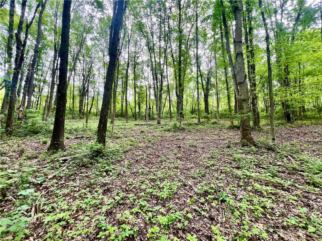 953 Perry Highway Prospect, PA 16052 - Photo 17 of 19 a view of a yard with lots of green space