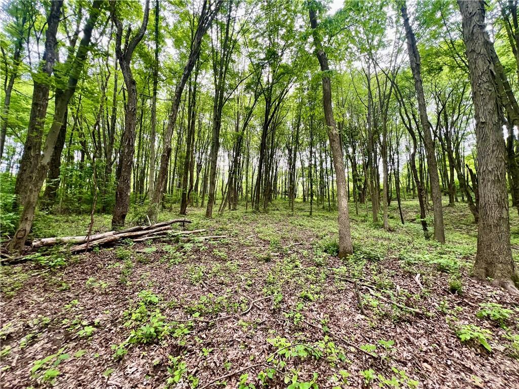 953 Perry Highway Prospect, PA 16052 - Photo 18 of 19 a backyard of a house with lots of green space