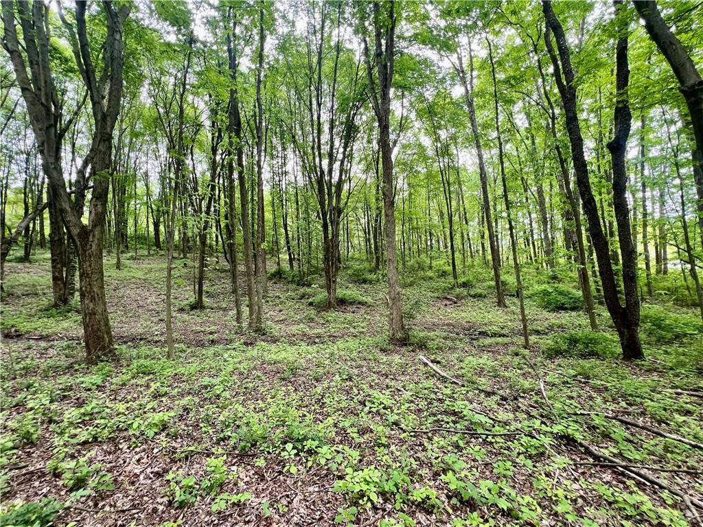 953 Perry Highway Prospect, PA 16052 - Photo 19 of 19 a big yard with lots of green space and trees
