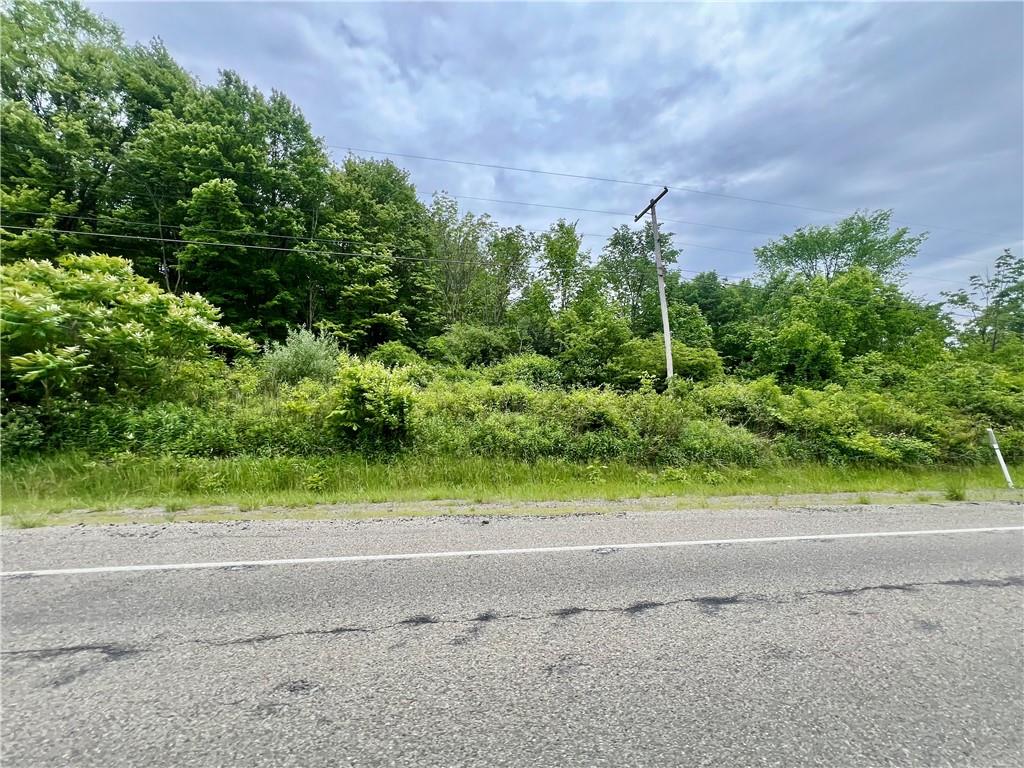 953 Perry Highway Prospect, PA 16052 - Photo 3 of 19 a view of a yard with plants and trees