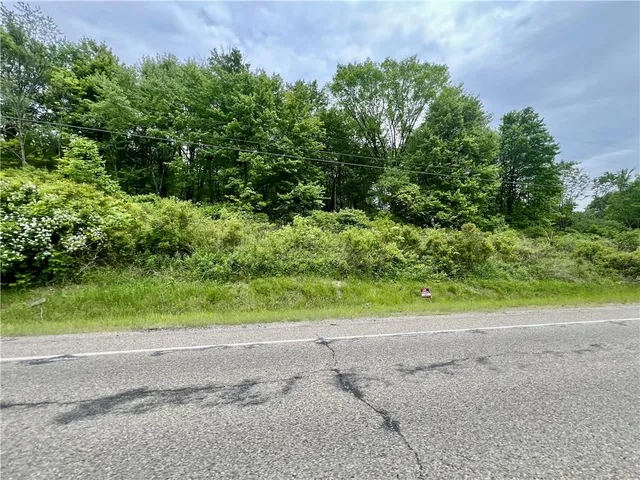 a view of a yard with potted plants