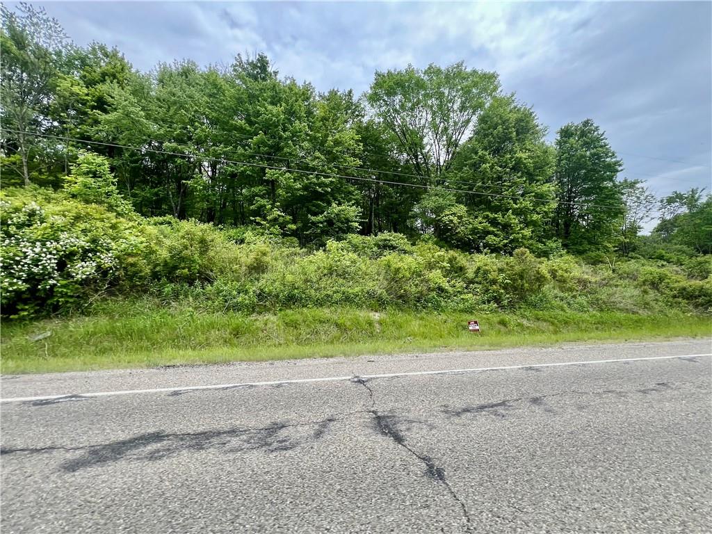 953 Perry Highway Prospect, PA 16052 - Photo 4 of 19 a view of a yard with potted plants