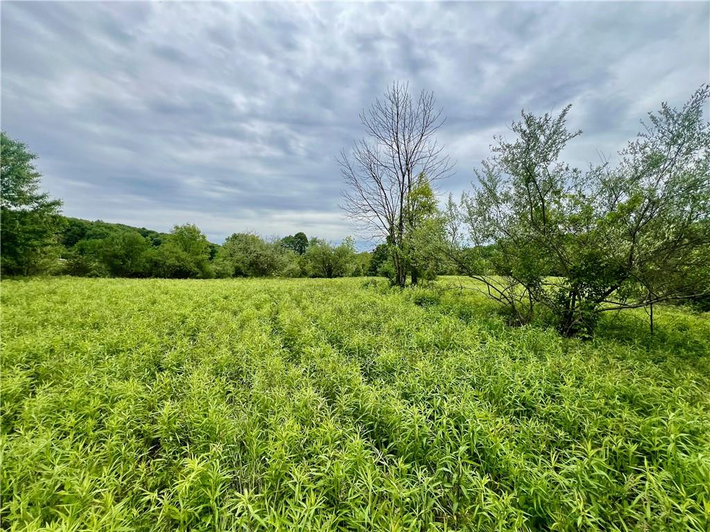 953 Perry Highway Prospect, PA 16052 - Photo 6 of 19 a view of a garden with a building in the background