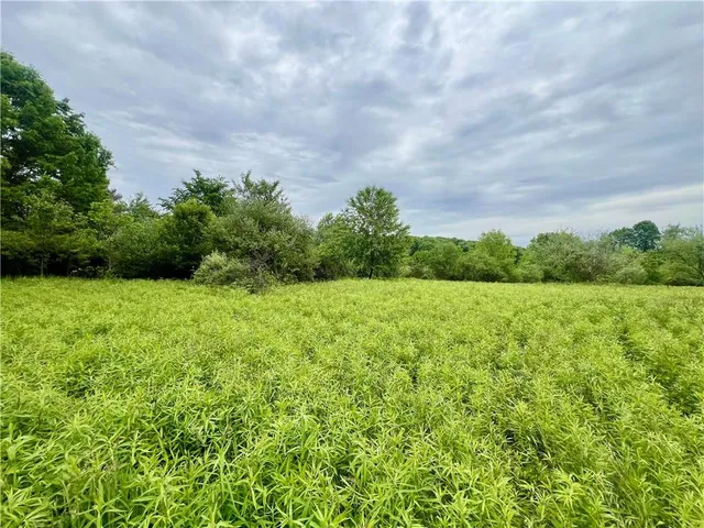 a backyard of a house with lots of green space and garden