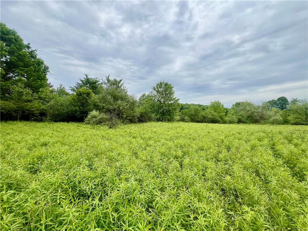 953 Perry Highway Prospect, PA 16052 - Photo 7 of 19 a view of a garden