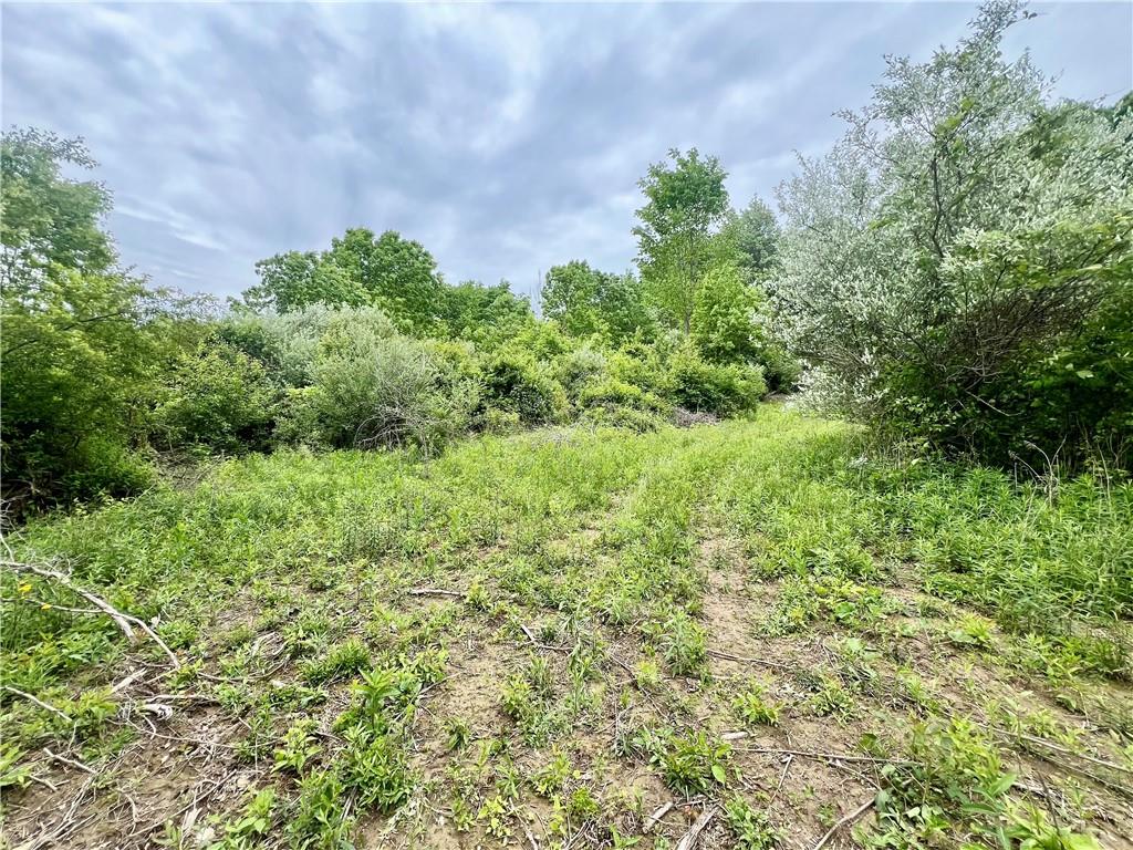 953 Perry Highway Prospect, PA 16052 - Photo 9 of 19 a view of a garden
