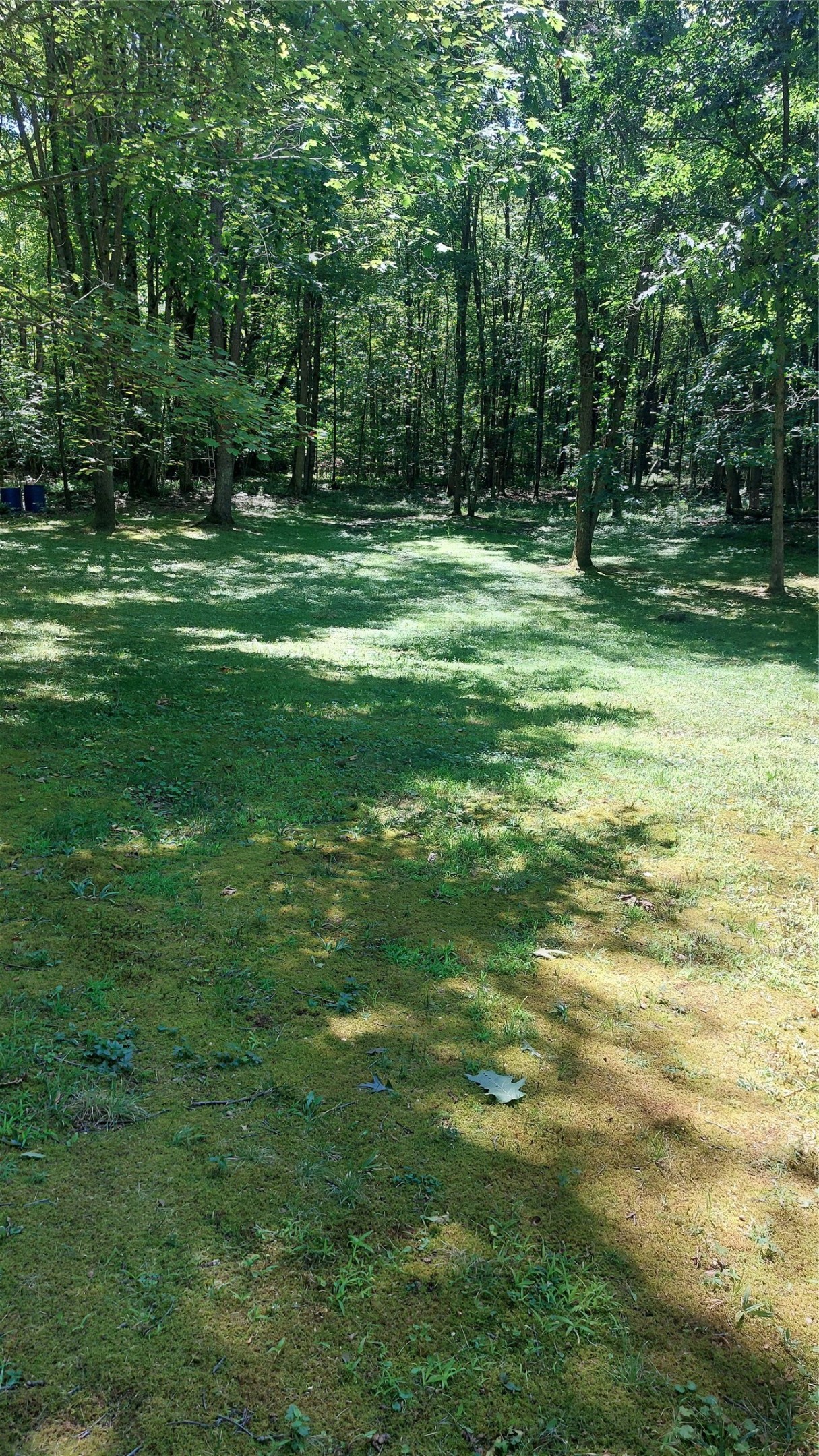 28775 Lake Creek Road Cochranton, PA 16314 - Photo 23 of 25 Gallery Image 23