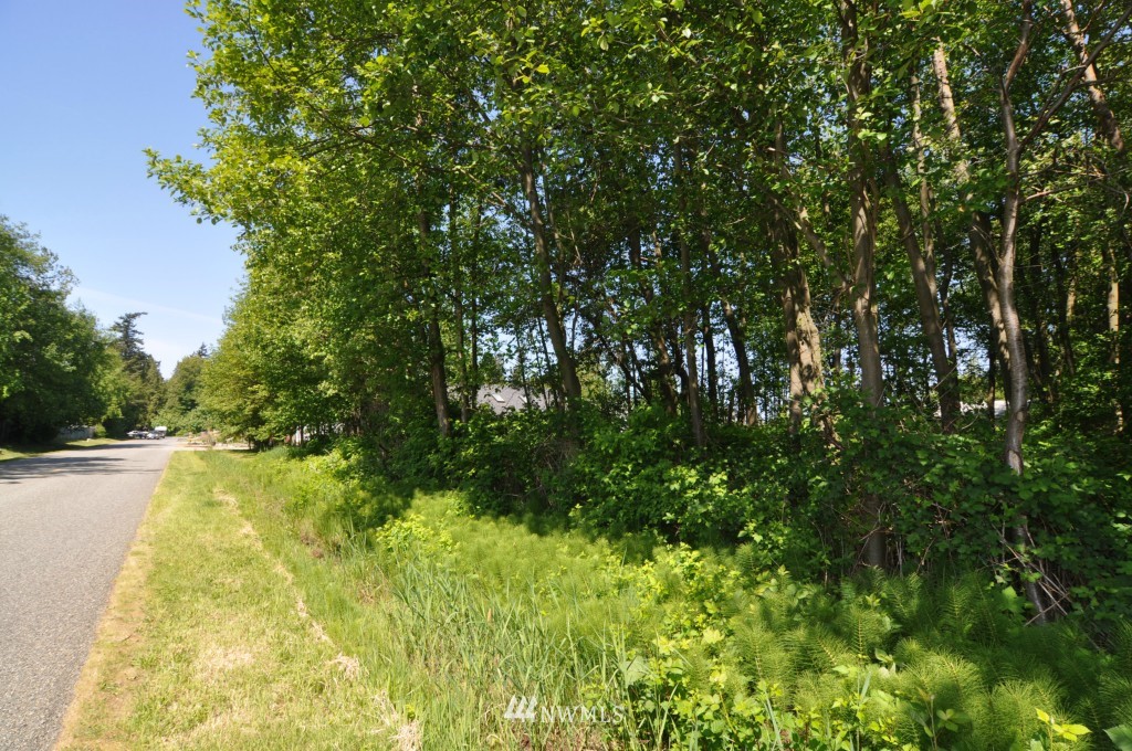 0 Bay Road Blaine, WA 98230 - Photo 1 of 23