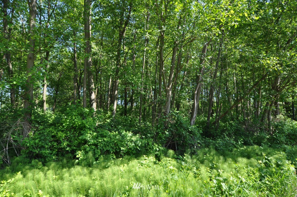 0 Bay Road Blaine, WA 98230 - Photo 11 of 23
