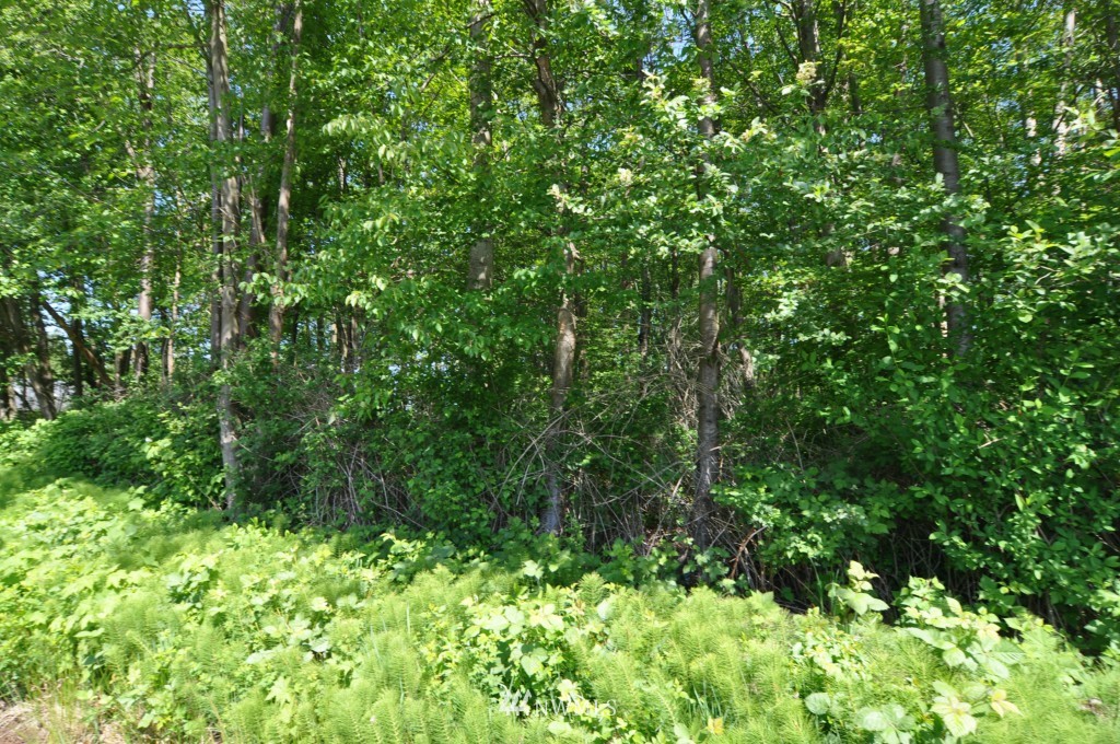 0 Bay Road Blaine, WA 98230 - Photo 12 of 23