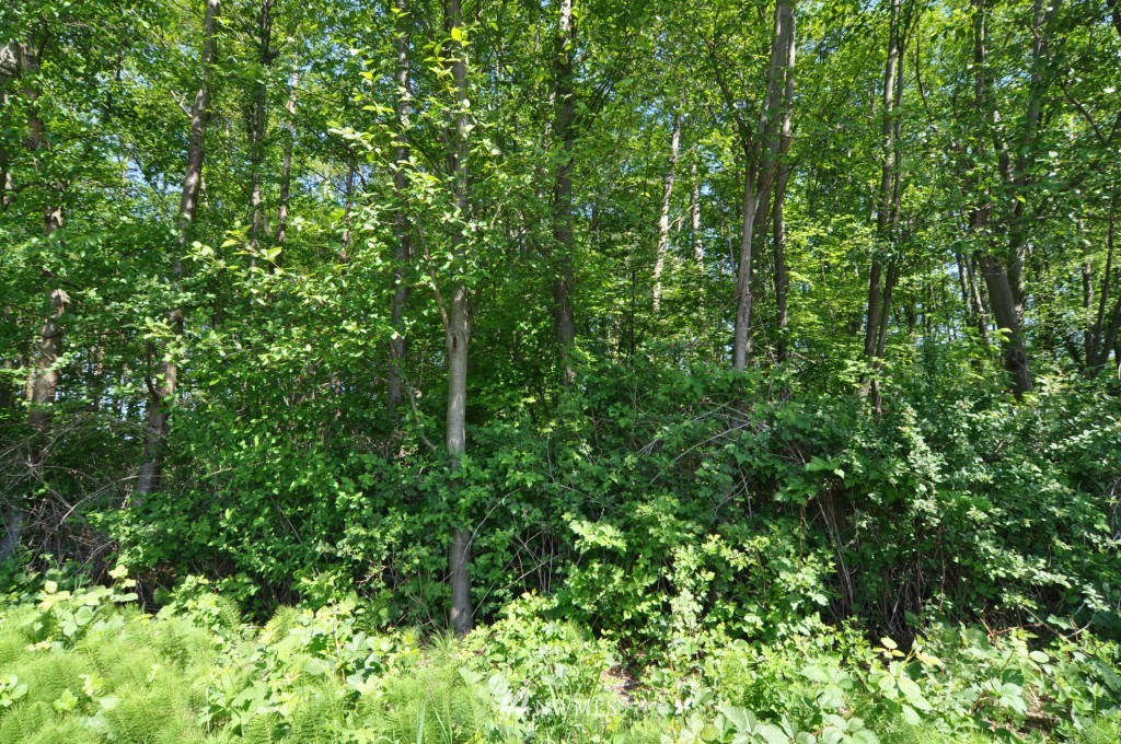 0 Bay Road Blaine, WA 98230 - Photo 13 of 23