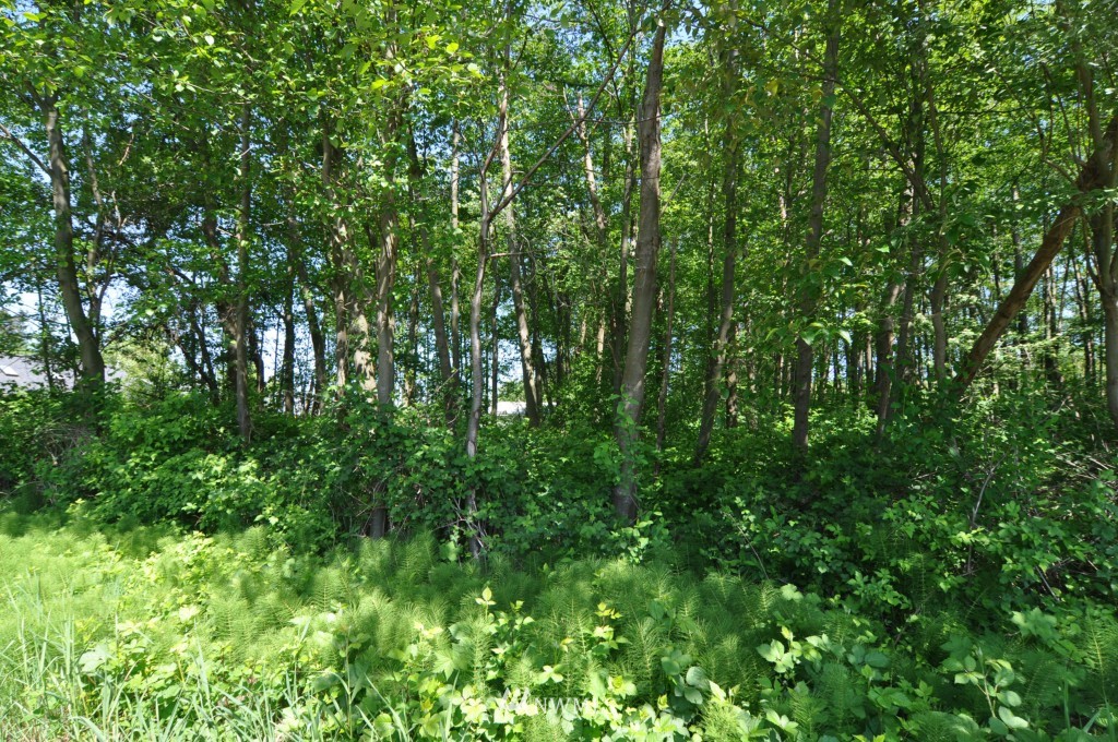0 Bay Road Blaine, WA 98230 - Photo 15 of 23
