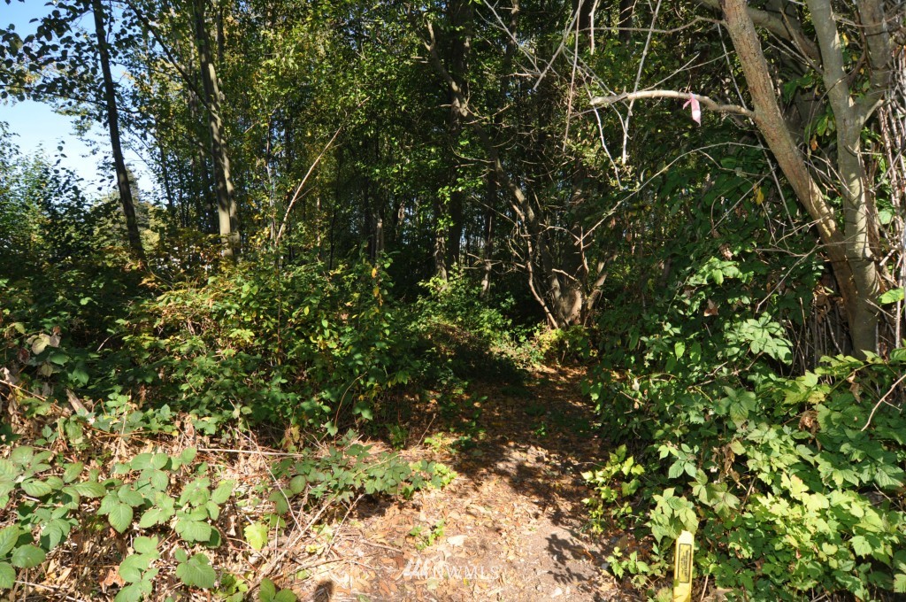 0 Bay Road Blaine, WA 98230 - Photo 18 of 23