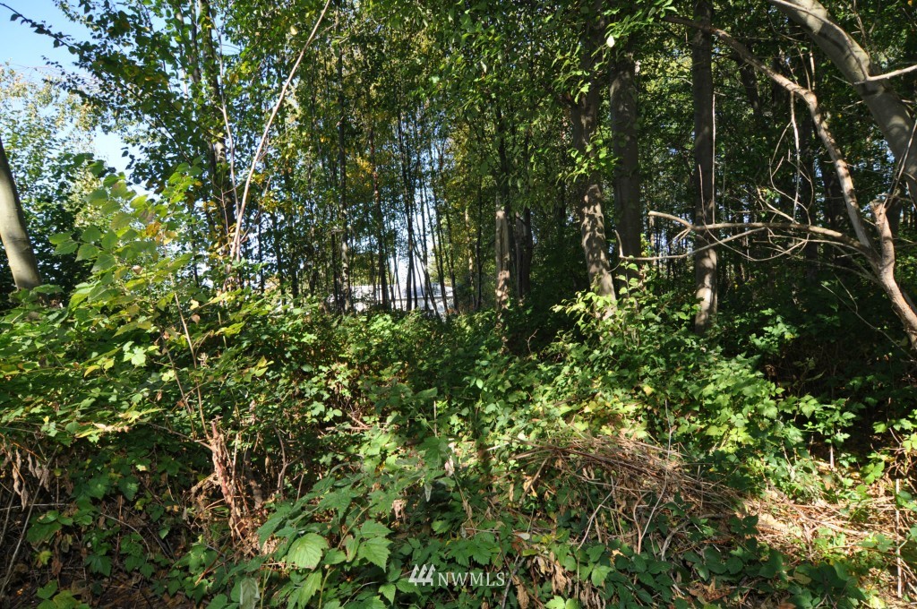 0 Bay Road Blaine, WA 98230 - Photo 20 of 23
