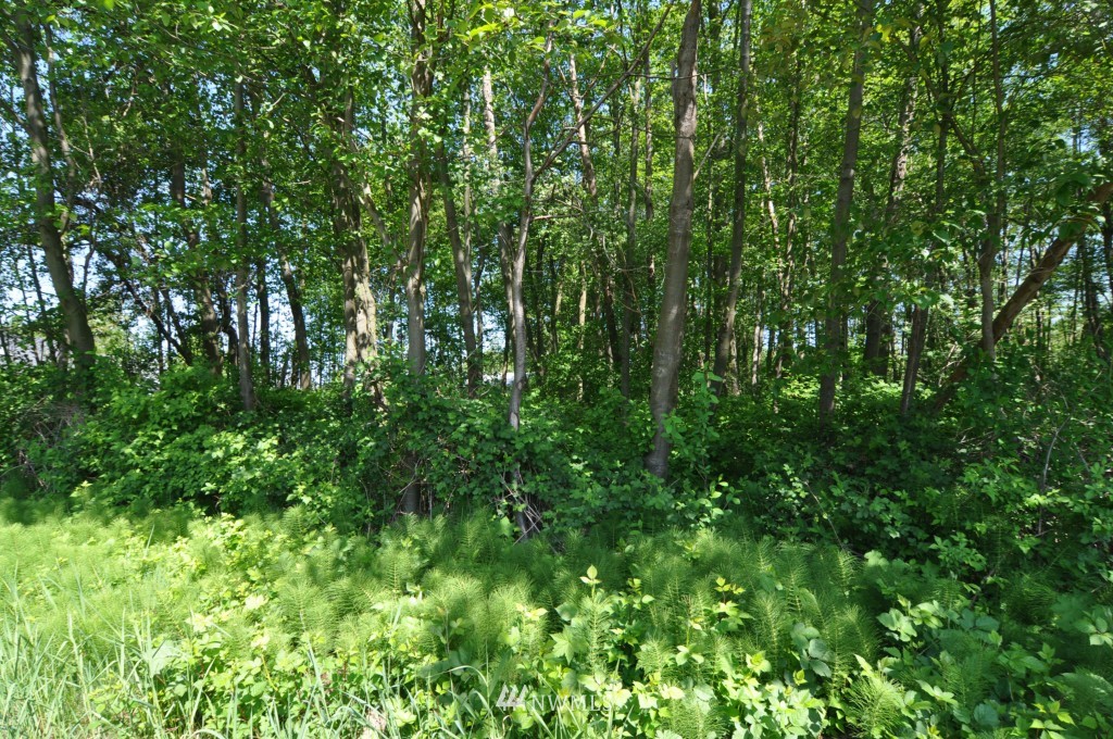 0 Bay Road Blaine, WA 98230 - Photo 5 of 23