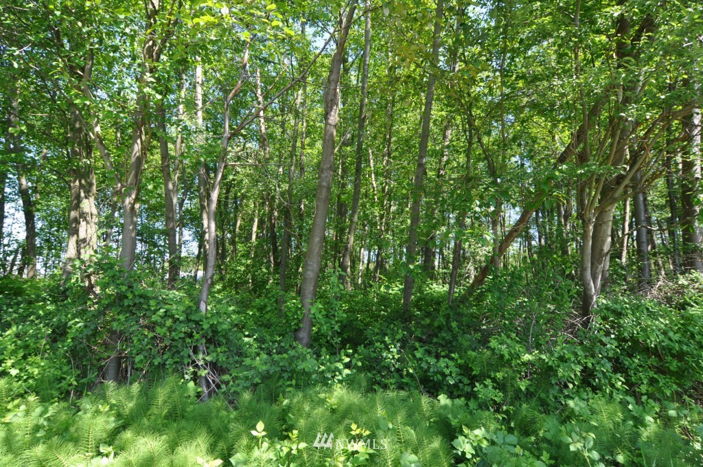 0 Bay Road Blaine, WA 98230 - Photo 7 of 23