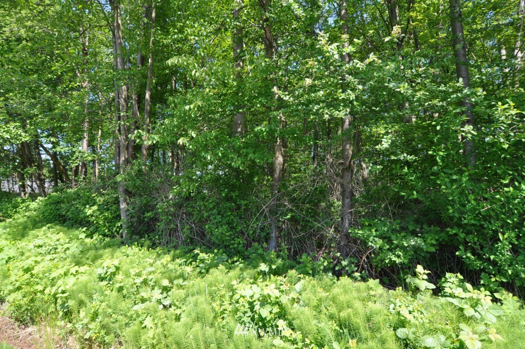 0 Bay Road Blaine, WA 98230 - Photo 10 of 23