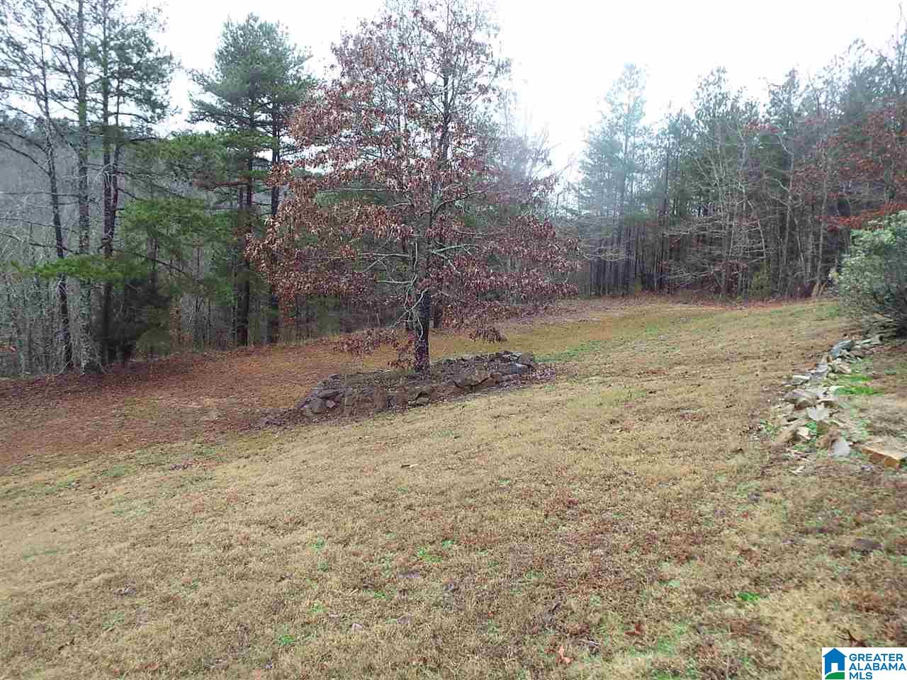 188 House Road Remlap, AL 35133 - Photo 2 of 31