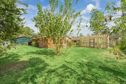 a view of a backyard